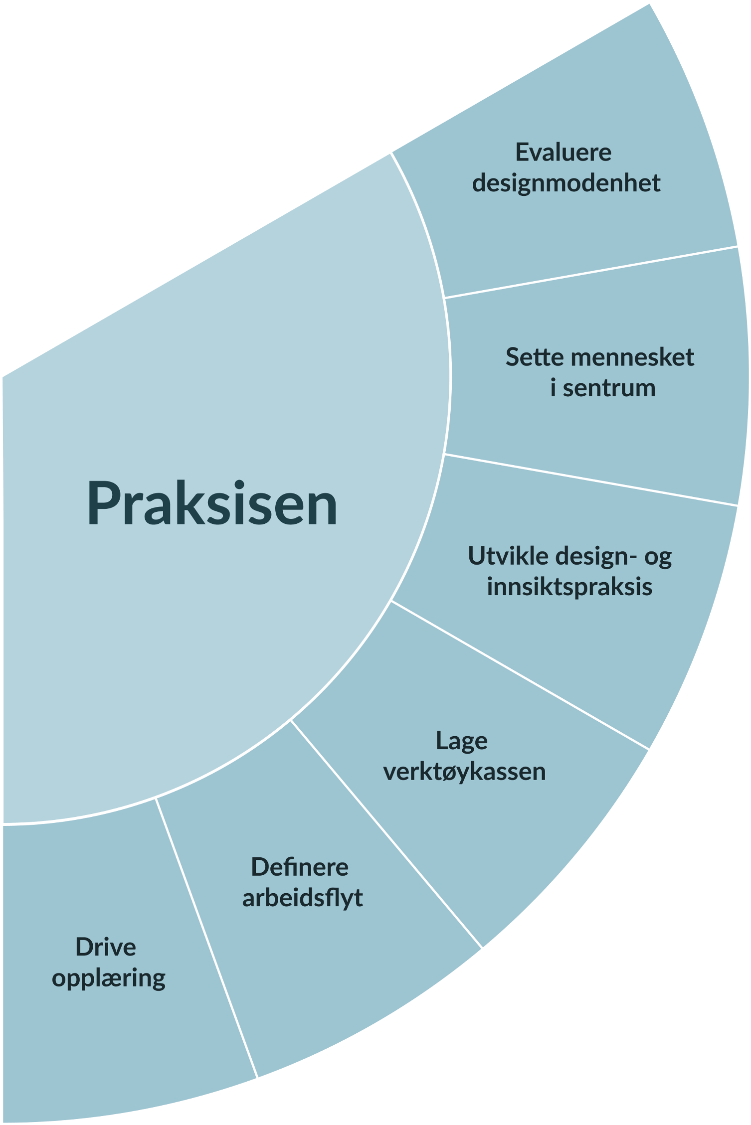 delsignledelse-del2_praksisen.png